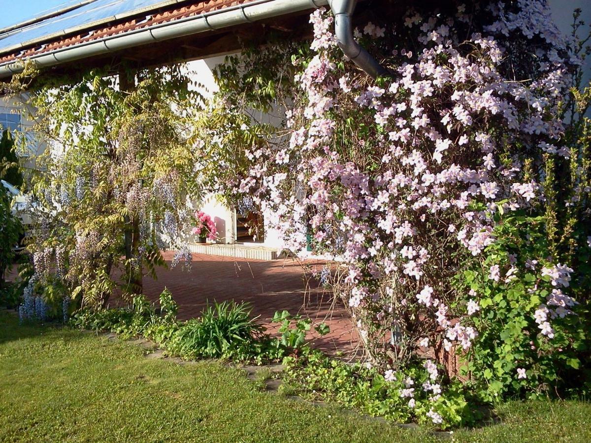 Ferienwohnung Buxheim  Exterior foto